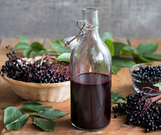 Elderberry Syrup